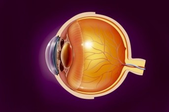 Retina Dekolmanı