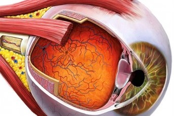 Retina Hastalıkları